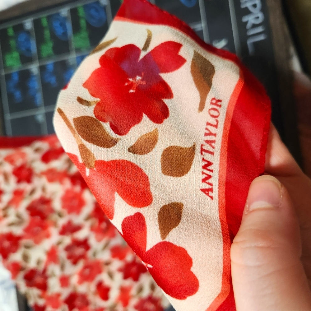 Ann Taylor Silk Scarf